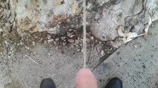 Peeing in public 11