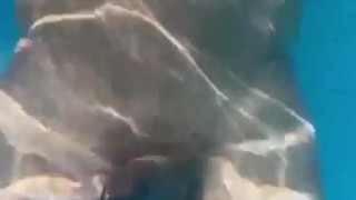 Atlantis Under Water