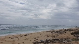 Let us PISS one another on Public OCEAN Beach