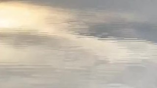 Vergon en la laguna
