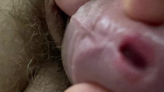 Bohemian Dicksody Queen Cover By My Dick