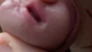 Bohemian Dicksody Queen Cover By My Dick