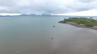 oops I ordered too many pizzas