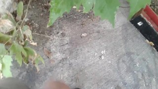Peeing in public 13