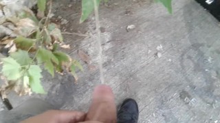 Peeing in public 13