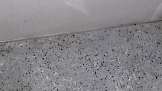 You like peei...latino uncut dick