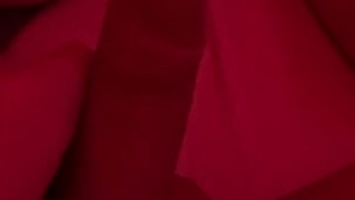 DAILY HANDJOB TASTES BEST