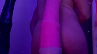Rabbit boy showing off the new stud