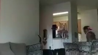 Zzzsex1996 masturbating in my old apartment