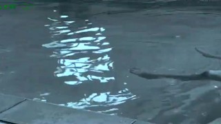 wet white pool play part 2