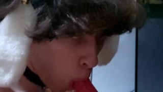 Cute Femboy Bunny Sucking Dick