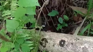 Quick masturbate while going to Hiking..