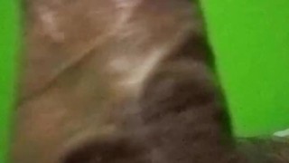 Pene lleno de venas y grande