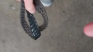 Measuring and beating my pathetic cock and balls for you