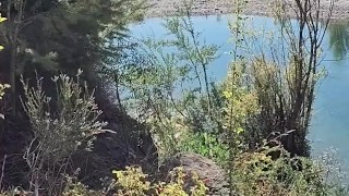 Un día normal paseando por el lago