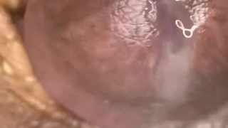 Let me melt in your mouth with warm milk…