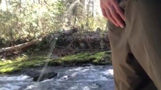 Stopped to take a piss under this cool bridge while going for a hike on Vancouver Island
