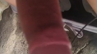Mi Polla Parte 1