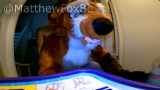 Matthew Fox gets stuck in the washing machine and fucked by a twink ( Fursuit / Furry / Mursuit )