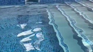 play time big wet bulge