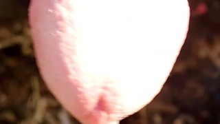 Big Dick Public Forest Cumshot