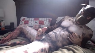 Gay Pup Petsuit Jerk off and cum :)