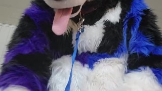 Johnny Huskey - Paw off and cum :3