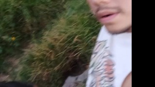 de paseo por el parque