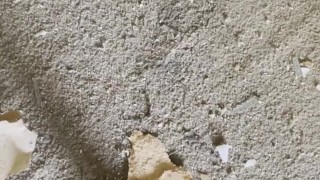 Stopping off to piss in an abandoned house