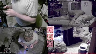 Birthday part 3 e Play stream 04-04-23