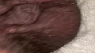 Fresh Chubby Boy Balls