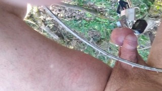 testicle torture padlock and walk in tzsticule torture, brambles in the forest for 1 km