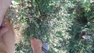 testicle torture padlock and walk in tzsticule torture, brambles in the forest for 1 km