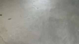 Pamela Croft embarazada tetona MILF CALENTANDO en un parking público, ninfomana de la Vega Baja