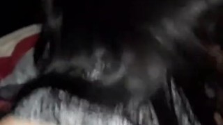 Today's bachelor had a very big dick