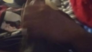 Michaeldreal pulsating cock