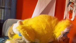 Bingo has a little fun in solo Fursuit porn