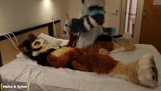 Naughty Husband Plays With Her Little Wife - Dildo Playing And Mursuit - Maho & Xytan