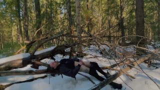 The sun on the branch)