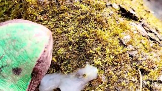 Painted Snake Big Dick Cumshot