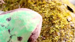 Painted Snake Big Dick Cumshot