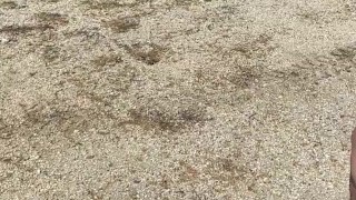 Pierced Pissing outdoors