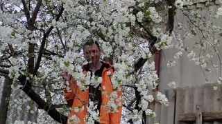 It smells nice of cherry blossoms