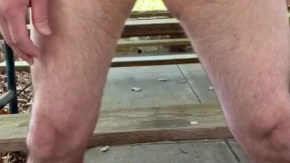 Big Dick Daddy Strip & Jerk At The Park