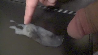 長期オナ禁達成後に気持ちよくオナニーするも、完全勃起前に大量お漏らし射精をしてしまう変態早漏君。