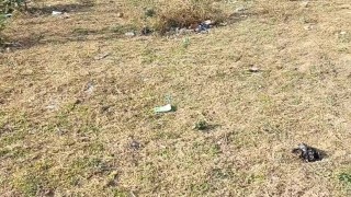 Pissing at public place and showing tiny dick at mall