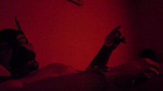 Pup paws himself off after edging for 3 days