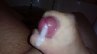 Walenie konia w Wannie