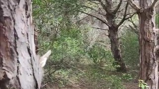 Julia amateur milf. Fucking in dunes. Beach