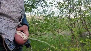 Locked guy is risky pissing near the public road.